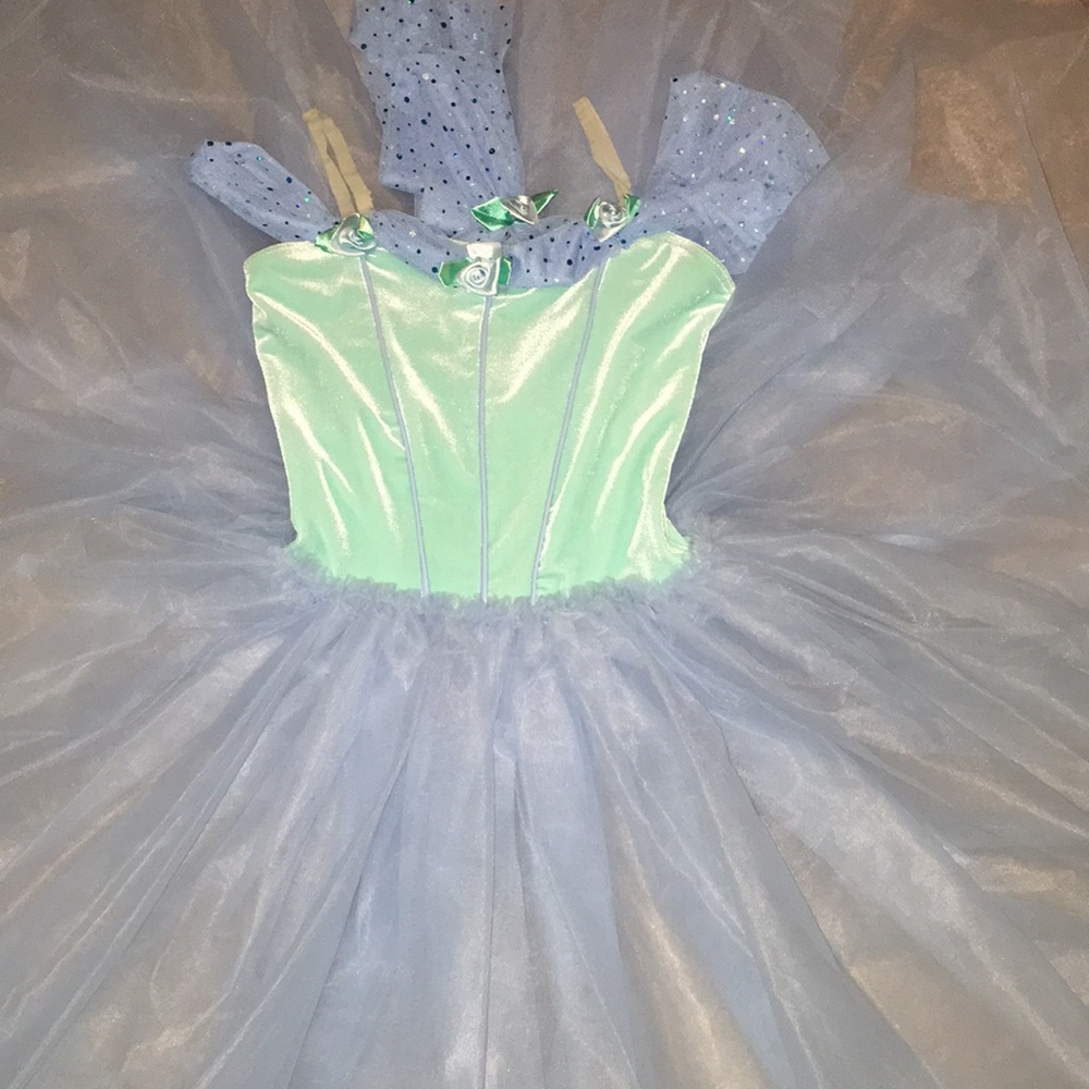 Velvet And Tulle Costume
